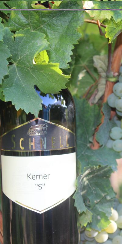 <br>2024er Kerner "S"<br>